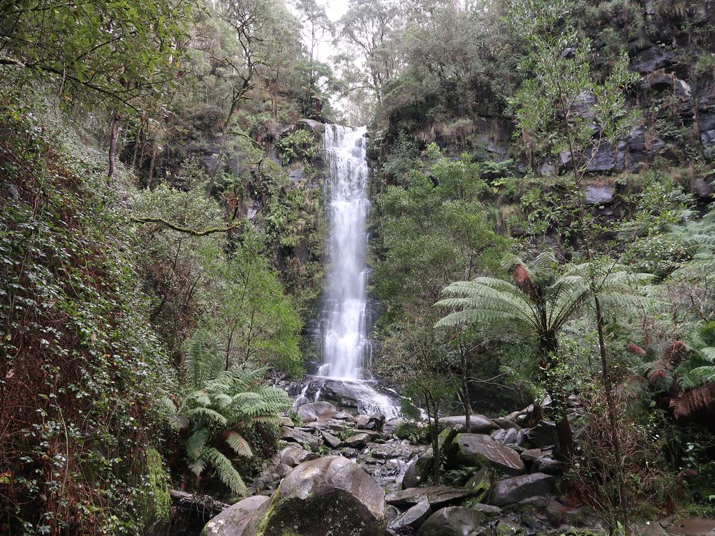 Erskine Falls, l'une des cascades recommandées par l'office du tourisme local.