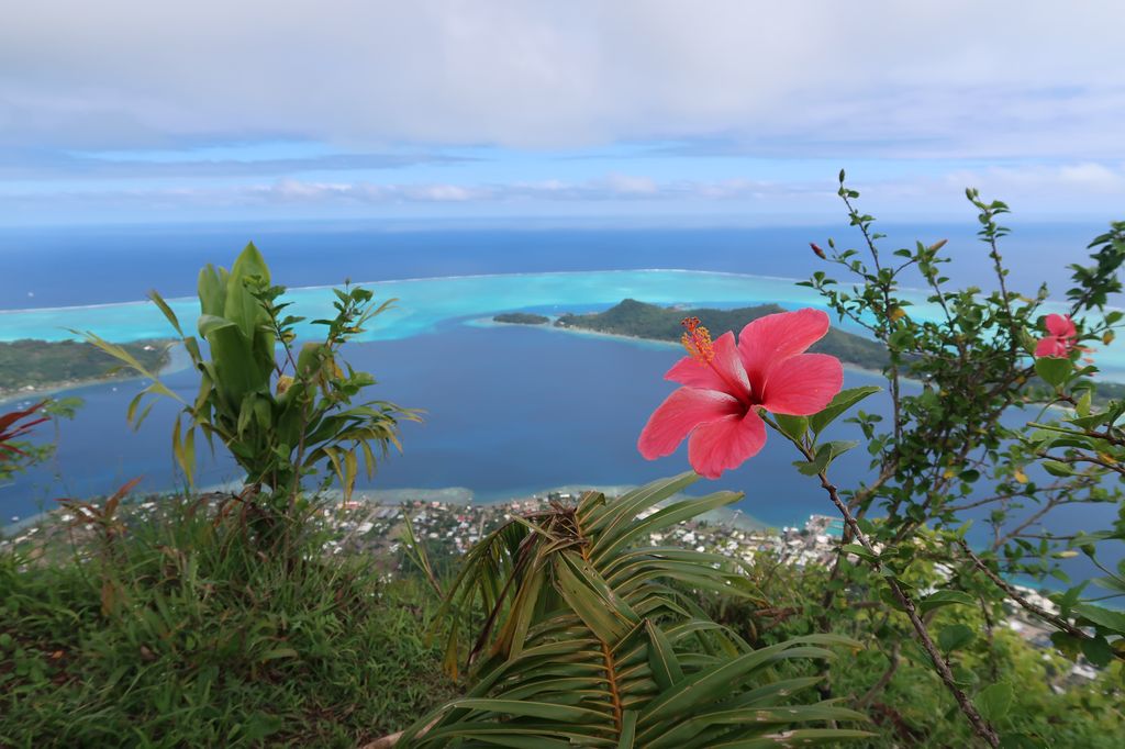 La vue depuis le sommet de Bora-Bora !