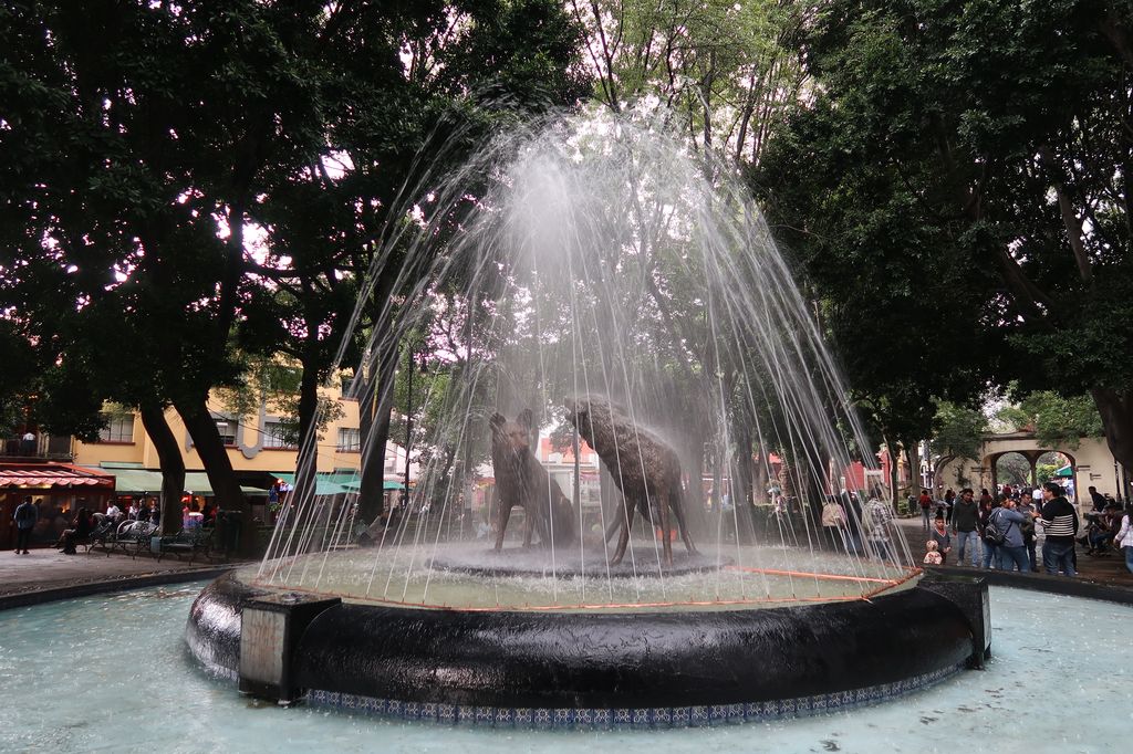 Devinez-vous pourquoi le quartier se nomme Coyoacan ?