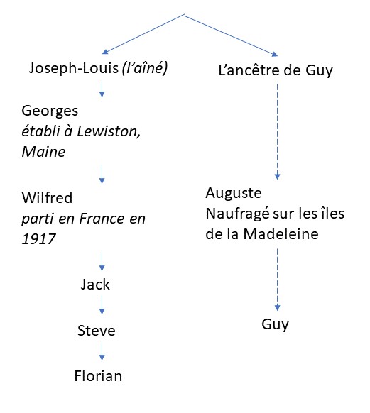 L'arbre généalogique approximatif des dernières générations.